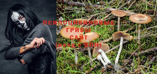 дурь Осинники