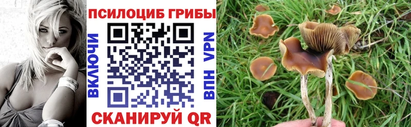 blacksprut как зайти  купить наркоту  Советск  Галлюциногенные грибы мухоморы 